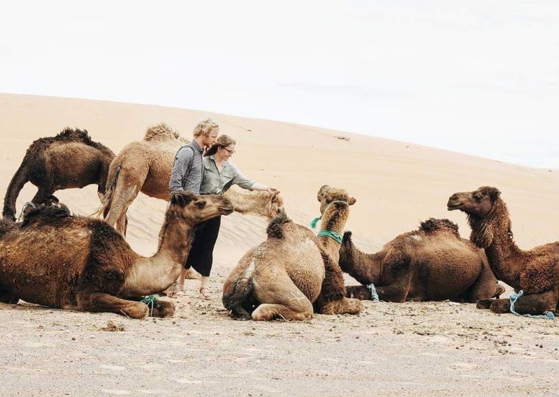 Paseo por el desierto de Marruecos en camellos Chico y chica de paseo con los camellos por el desierto de Marruecos