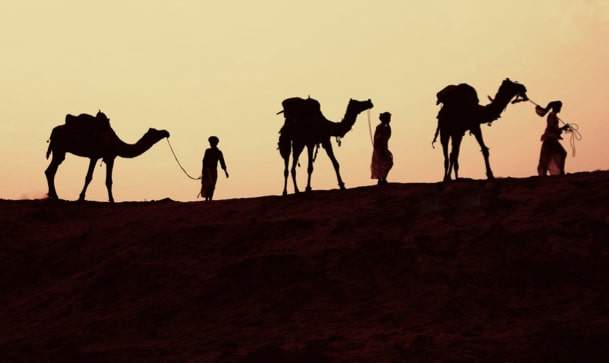 Three kings