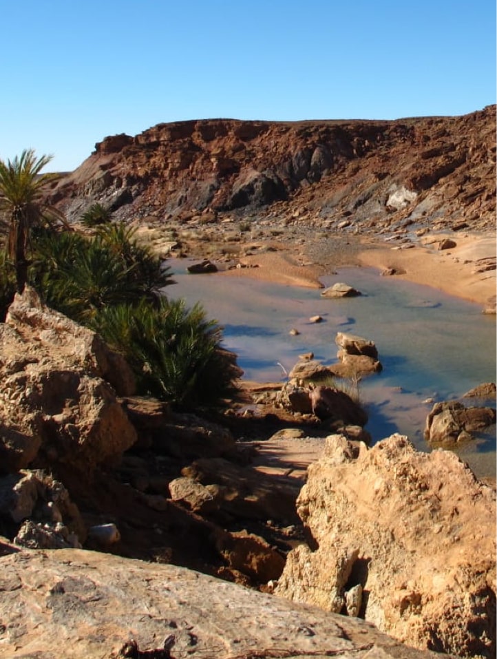 Oasis