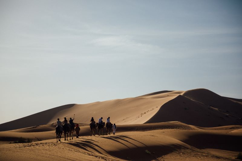 Grupo de amigos hace un paseo en camello por el desierto de Marruecos Paseo en camello en el desierto de Marruecos por un grupo de aventureros