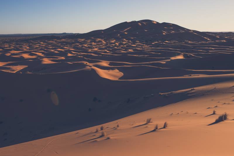 Desert at dawn The desert is seen at dawn